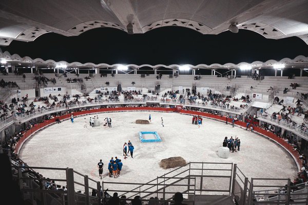 Wie beeinflusst die Teamchemie den Erfolg im Basketball?